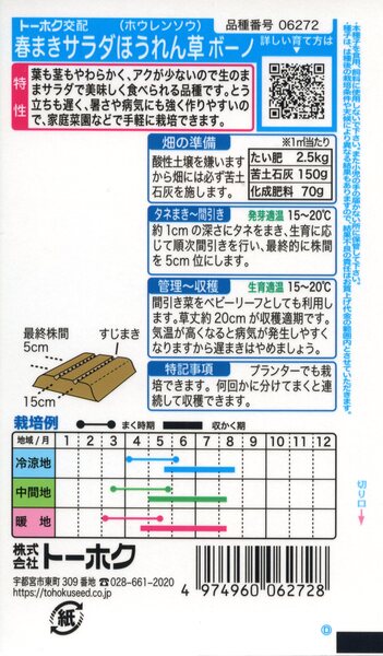 ホウレンソウの種　F1　春まきサラダほうれん草　ボーノ　25ml　品番6272　種子　たね 2