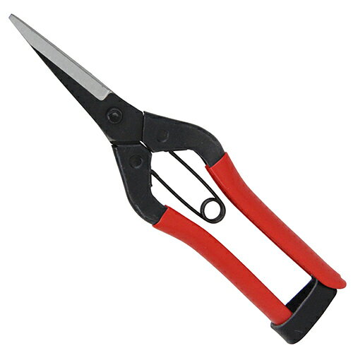 ”エントリーでポイント5倍中！”千吉 ガーデン芽切鋏 サック SGP-45