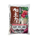 土壌改良剤 AG土力 粒状 5kg 2袋セット ( 日本農業システム アイアグリ オリジナル 菌 センチュウ 線虫 残渣分解 )