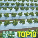 国産オリジナル白黒マルチ(無孔)厚さ0.021幅135cm長200m3本(遮光 マルチシート 農業用マルチ 防草 シート 農業 マルチング アイアグリ 農業資材...