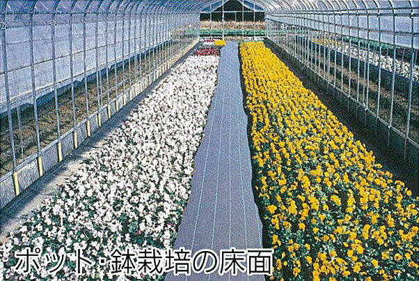 エントリーでポイント5倍!!　強力JPシート150cm×100m