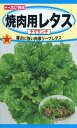 レタスの種 焼肉用レタス チマサンチ 3ml 品番3343 種子 たね