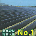 黒マルチ 厚さ0.02mm×幅210cm×長さ200m 3本セット 直送品 (農業用マルチ 防草 シート 農業 マルチング 農業資材 家庭菜園 園芸用品 雑草対...