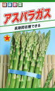 アスパラガスの種 アスパラガス 3ml 品番6523 種子 たね