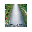 ダイオグランドシート抗菌剤無 黒 長さ100m×幅150cm 遮光性が高く、防草効果抜群の防草シート(防草シート 雑草防止シート 雑草シート 庭 雑草対策 農業資材 園芸用品 農業用品 ガーデニング 園芸資材 家庭菜園 カビ防止 ぬかるみ防止 ブラック シート 除草 除草シート 防草) その1