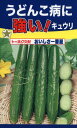 キュウリの種 うどんこ病に強い おいしさ一番星 2ml 品番3223 種子 たね
