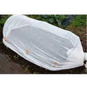 ソフト寒冷紗白 210cm x 10m (ロール)