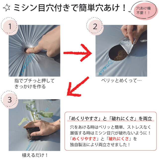 イワタニ家庭菜園用フリーホールマルチ　銀　厚さ0.02mmX幅95cmX長さ50m　孔60mm　...