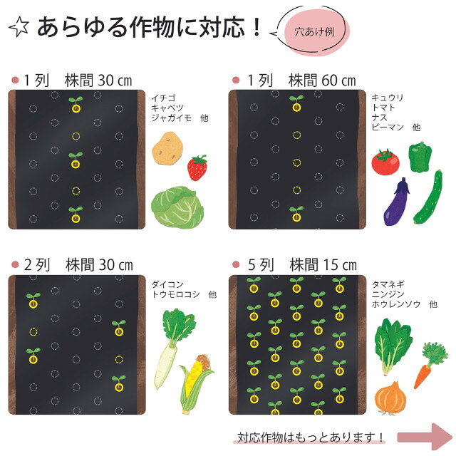 イワタニ家庭菜園用フリーホールマルチ　銀　厚さ0.02mmX幅95cmX長さ50m　孔60mm　...