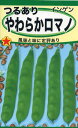 インゲンの種 つるありロマノ いんげん 25ml 品番1525 種子 たね