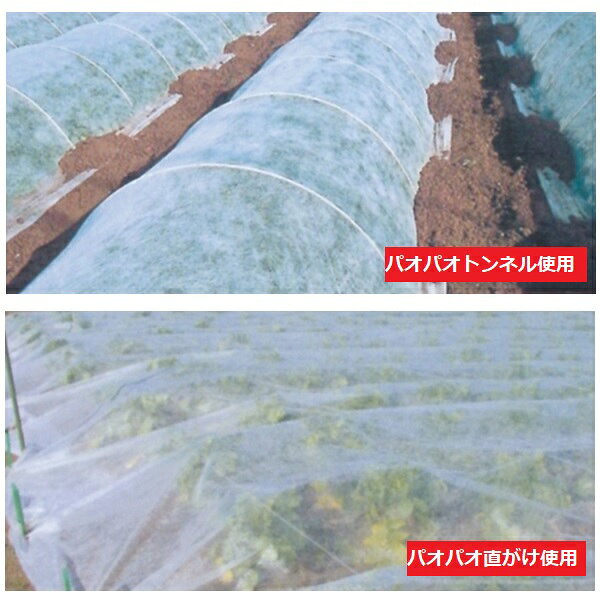 パオパオ90べたがけ 長さ50m×幅180cm保温用資材不織布霜よけ虫よけ(防虫シート ト...