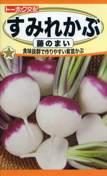 カブの種　F1　すみれかぶ　藤のまい　3ml　品番1215　種子　たね
