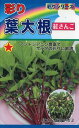 葉大根の種 彩り 葉大根 紅さんご 10ml 品番1925 種子 たね