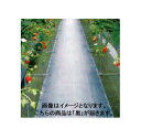 グランドシート 抗菌剤入 黒 幅150cm×長さ100m ( 日本農業システム 農業 園芸 家庭 菜園 除草 防草 雑草 花卉 野菜 果菜 育苗 栽培 )