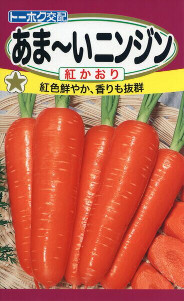 ニンジンの種　あまーいニンジン　紅かおり　4ml　品番2566　種子　たねのサムネイル