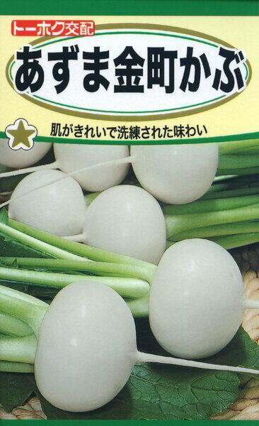 カブの種　F1　あずま金町かぶ　4ml　品番3586　種子　たね