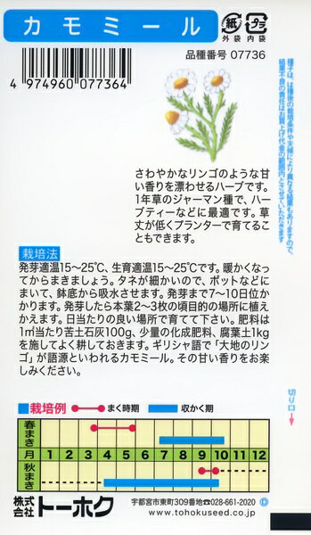 ハーブの種　ハーブ　カモミール　0.1ml　品番7736　種子　たね