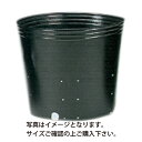 ポリポット黒丸側面 24穴24cm1枚