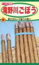 ゴボウの種 滝野川ごぼう 10ml 品番2097 種子 たね