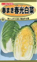 ハクサイの種 F1 春まき春光白菜 2ml 品番8368 種子 たね