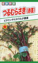 ツルムラサキの種 つるむらさき (赤茎) 2ml 品番1868 種子 たね