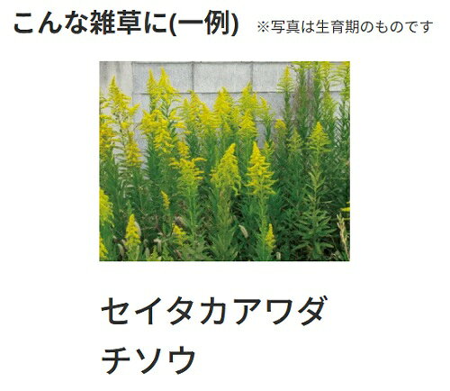 エントリーでポイント7倍!　ネコソギトップF粒剤　5kg