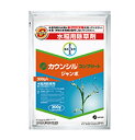 カウンシルコンプリートジャンボ 300g (30gX10)