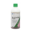 モーニングエース500g