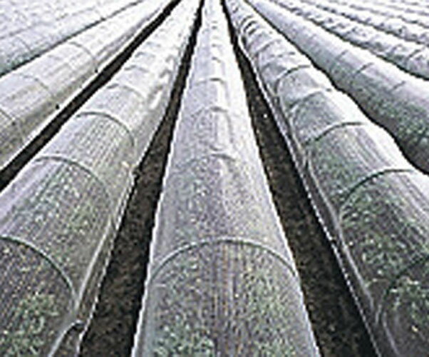 防虫ネット サンサンネットEX2000 1mm目 1.8m×100m 透光率90%(防虫 ネット 園芸 農業資材 園芸用品 農業 畑 農業用 …