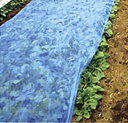青パオパオ 200M×1.5M 保温用資材 ( 霜よけ カバー 園芸 霜除け 不織布 農業用不織布 保温シート 農業資材 保温資材 農業用資材 園芸用資材 園芸...
