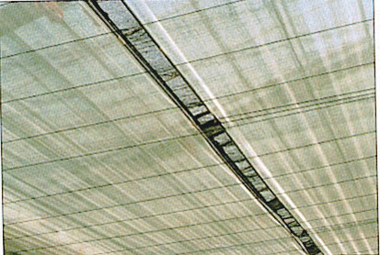 ビニールハウス用 サニーコート 幅115cmX長さ100m ( 内張り ハウス栽培 ビニルハウス 保温シート 農業資材 保温資材 農業用資材 園芸用資材 園芸資...