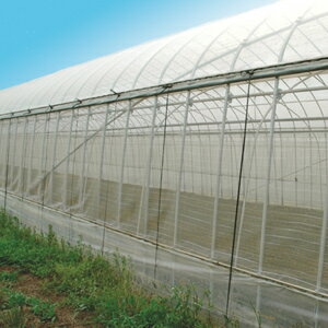 防虫ネット ムシカットストロング 1mm目 210cm×100m(防虫 ネット 園芸 農業資材 園芸用品 農業 畑 農業用 家庭菜園 …