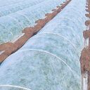 パオパオ90べたがけ 長さ200m×幅60cm保温用資材不織布霜よけ虫よけ
