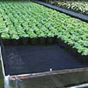 ラブマットU 幅1m×長さ50m ( 日本農業システム LN250GRO 農業 園芸 家庭 菜園 防草 除草 雑草 不織布 花卉 野菜 果菜 育苗 栽培 灌水)