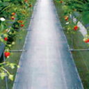 ダイオグランドシート 抗菌剤入 銀 幅200cm×長さ100m ( 日本農業システム 農業 園芸 家庭 菜園 除草 防草 雑草 花卉 野菜 果菜 育苗 栽培 )