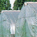 サニークロスBKハトメ付6m×10m