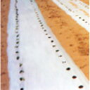 こかげマルチ白黒 長さ200m×厚さ0.02mm×幅150cm(農業 農業資材 農業用資材 白黒マルチ 農業用マルチ マルチ 園芸用品 園芸 農業用品 ガーデニ...