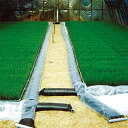 プールシート 長さ10m×厚さ0.1mm×A幅160cm