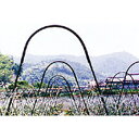 セキスイ アーチパイプジョイント 径16mm×幅80cmx高さ30cm まとめて50本 ( 日本農業システム 農業 園芸 家庭菜園 支柱 鋼管竹 耐候性 セキス...
