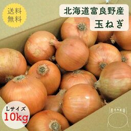 送料無料 たまねぎ Lサイズ 10kg 箱買い 北海道 富良野産 国産 野菜 タマネギ オニオン ギフト お返し 人気 食べ物 贈り物 プレゼント 常備野菜 保存野菜 玉ねぎ tamanegi *玉ねぎL10kg*