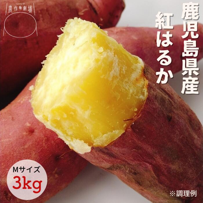 送料無料 紅はるか Mサイズ 3kgさつまいも 鹿児島県産 国産 送料無料 野菜 常備野菜 保存野菜 生芋 年始 ギフト 人気 食べ物 贈り物 プレゼント ブランド*さつまいもM3kg*