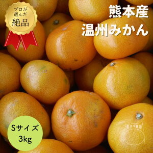 送料無料 熊本県産 3kg 小玉 Sサイズ 温州みかん 国産 果物 柑橘 シトラス お歳暮 ギフト 御歳暮 年末年始 年末 お返し 人気 食べ物 贈り物 送料無料 プレゼント ブランド 蜜柑