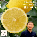 レモン Sサイズ 2kg 送料無料 国産 佐賀県産 もぎたて ノーワックス 果物 唐津 柑橘 シトラス ギフト お返し 人気 食べ物 贈り物 プレゼント ブラン...