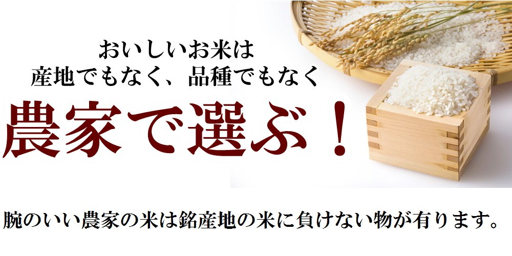 米 玄米 30kg 藤本勝彦さんのきぬむすめ精...の紹介画像3