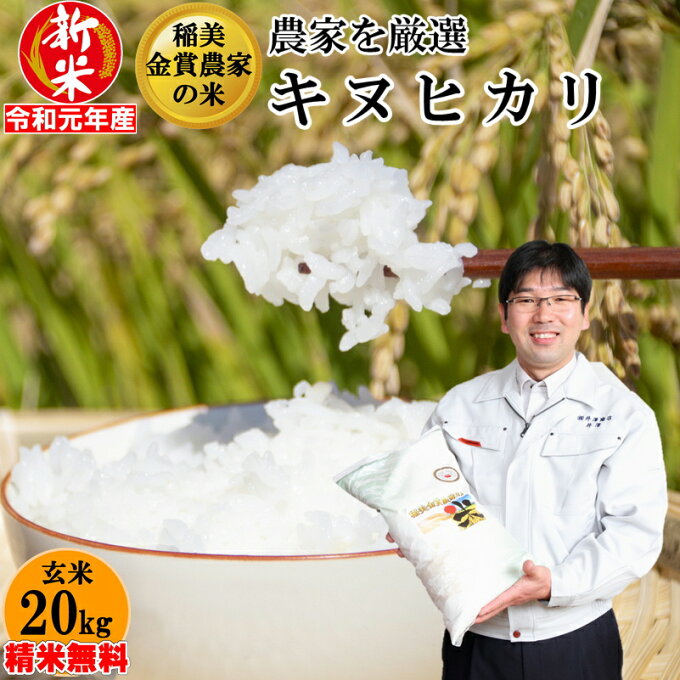 玄米 20kg キヌヒカリ生産農家を井澤商店4代目が厳選吟味精米無料 玄米/白米選べ...