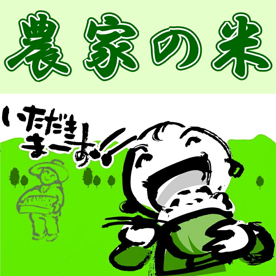 農家直送1等米20kg（10Kg✖️2個）♪令和6年産コシヒカリ精米済み送料無料 令和6年福井県産 農家直送米：コシヒカリ 10kg【玄米】 | 中瀬
