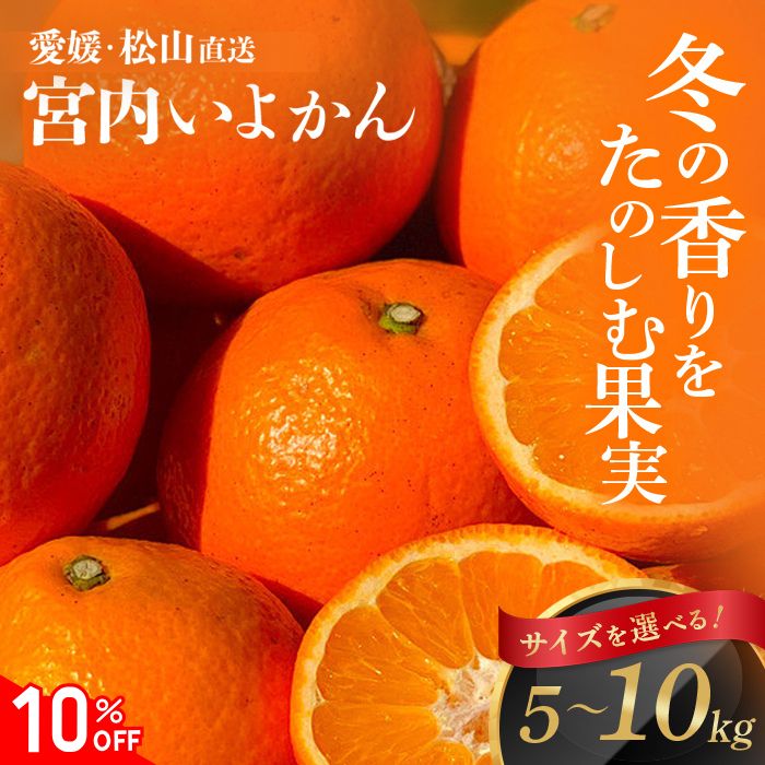 ＼楽天スーパーSALE／★期間中10％OFF★【先行予約】熟成 いよかん 訳あり 家庭用 【2027年1月より順次発送】 ｜ 10kg 8kg 5kg ｜ サイズ混合・小玉 (L以下) ｜ 愛媛 農家 直送 ｜ 宮内伊予柑 柑橘 数量限定 大容量 お買い得 旬 果物 フルーツ みかん【送料無料】