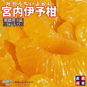 【先行予約】宮内いよかん 家庭用B品【2月上旬より順次発送】愛媛農家直送|5kg サイズ混合|大人気 小玉選択可 旬の柑橘 愛媛産 訳あり お得クーポン【送料無料】
