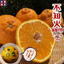 【先行予約】不知火 家庭用B品【3月より順次発送】愛媛農家直送|2.5kg / 5kg サイズ混合|デコポン同品種 甘味たっぷり 柑橘 訳あり【送料無料】