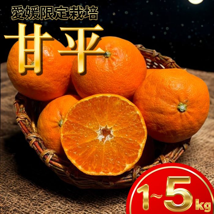 ���紶�պס����ݥ����10�ܥ����ڡ��󡿡����ͽ��� ��ʿ ������ ������ B�� ��2����缡ȯ���� ���������� �� 1kg / 2.5kg / 5kg ��...